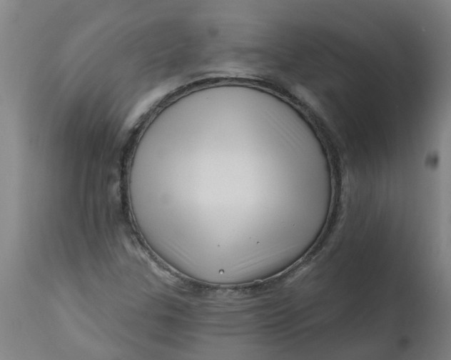 X0000112461307200909071100