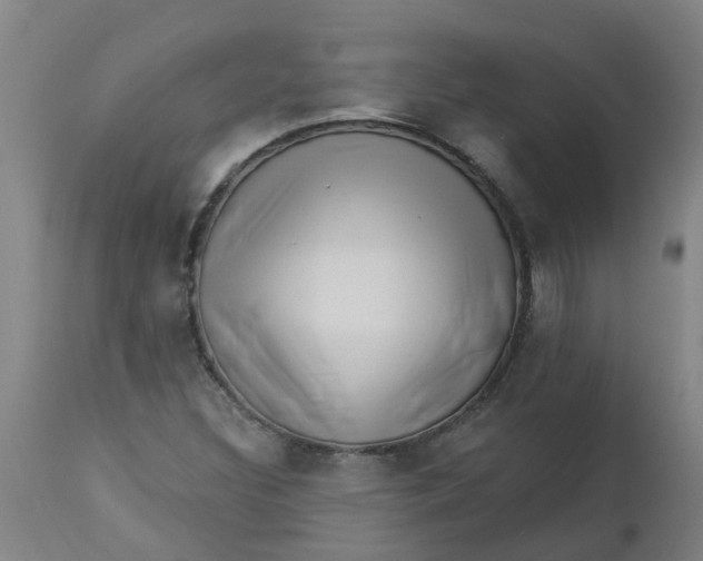 X0000112461308200909071100