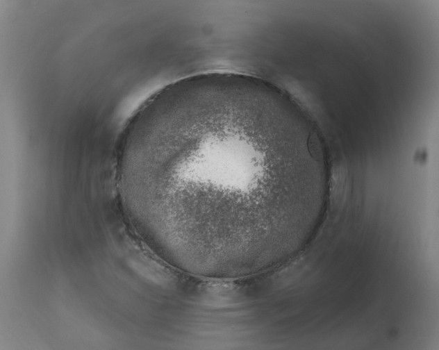 X0000112461310200909071100