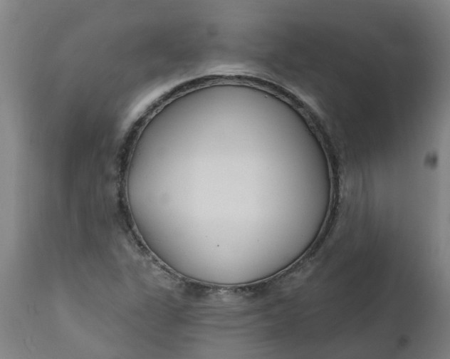 X0000112461311200909071100