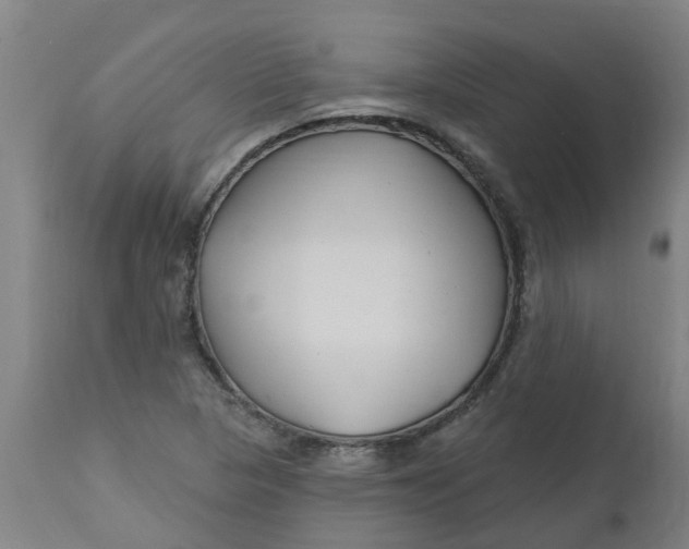 X0000112461313200909071100