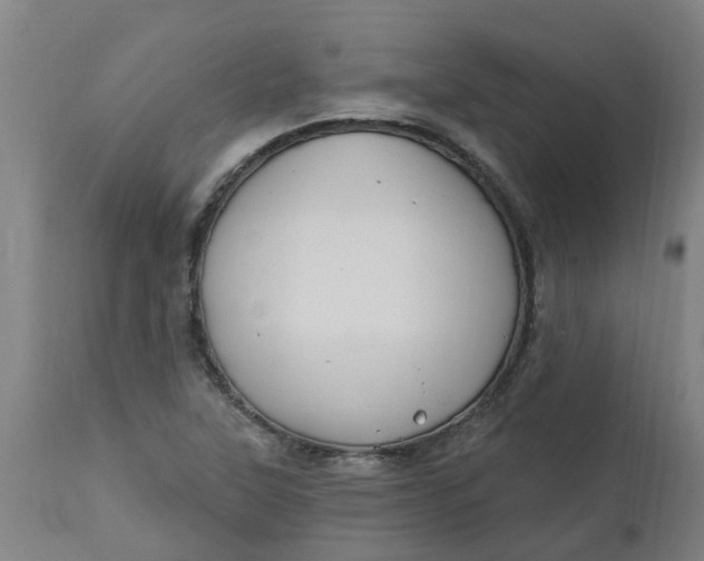 X0000112461315200909071100