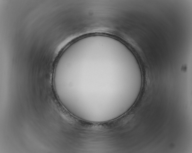 X0000112461316200909071100