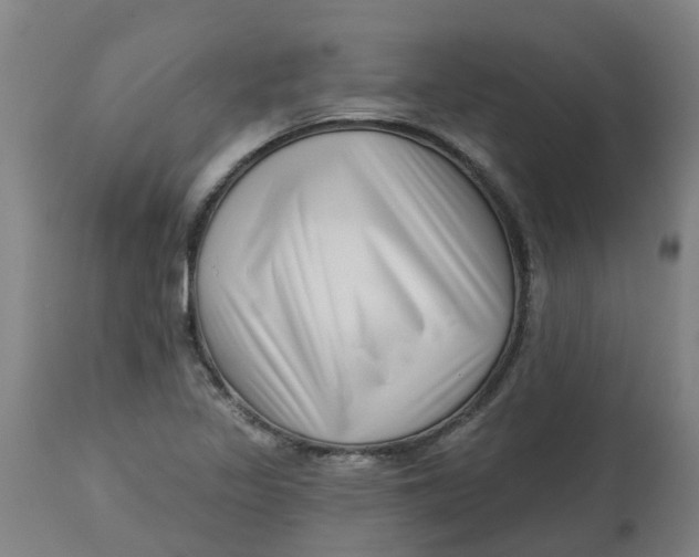 X0000112461317200909071100