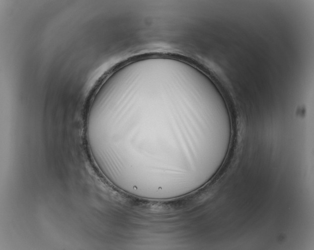 X0000112461318200909071100