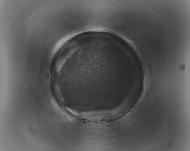 X0000112461319200909071100