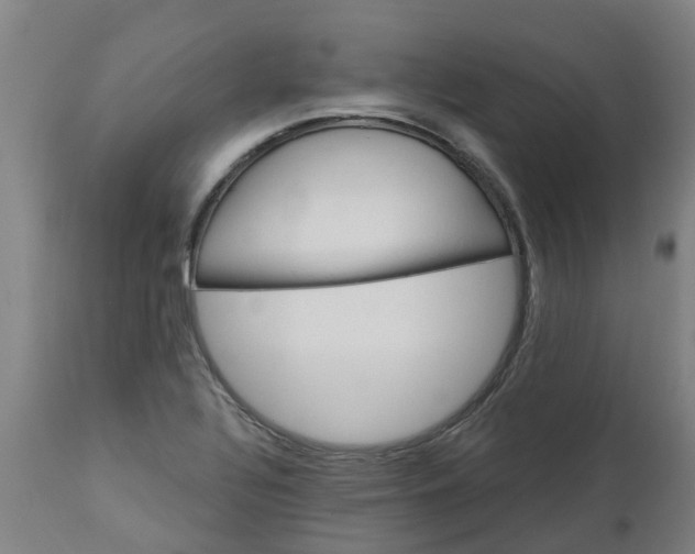 X0000112461320200909071101