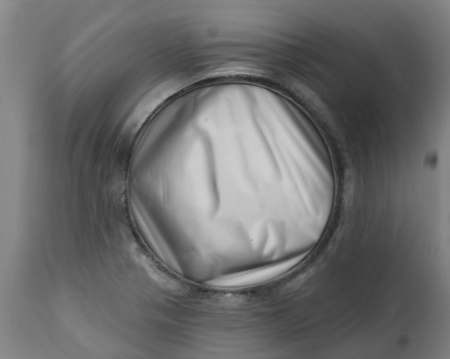 X0000112461321200909071101