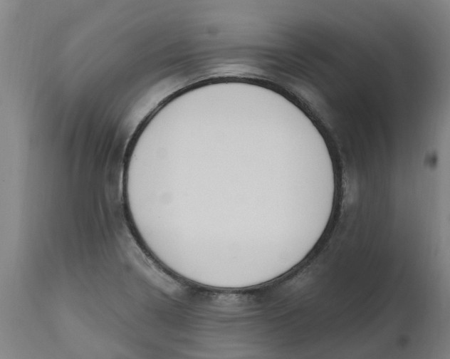 X0000112461322200909071101