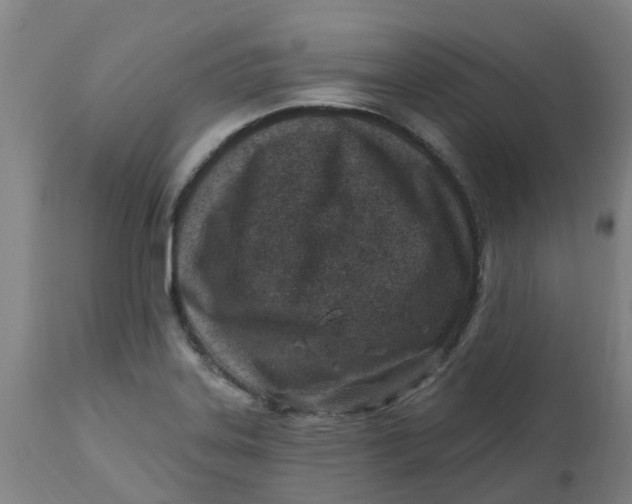 X0000112461323200909071101