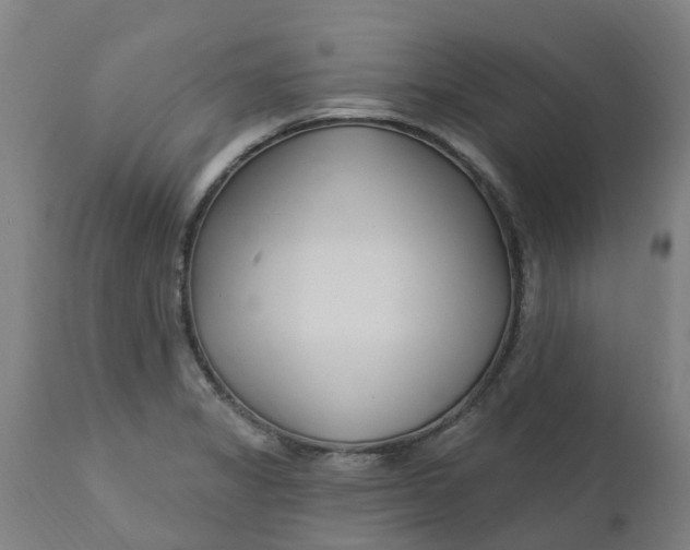 X0000112461325200909071101