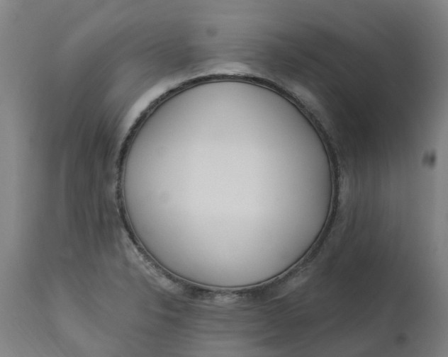 X0000112461326200909071101