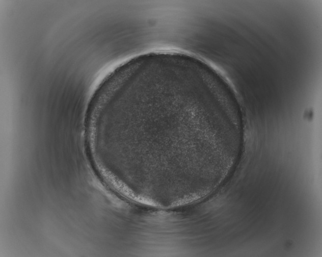 X0000112461327200909071101