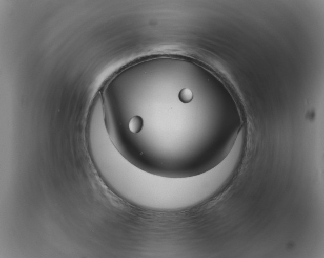 X0000112461328200909071101