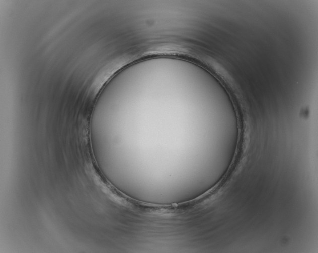 X0000112461329200909071101