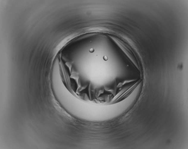 X0000112461330200909071101