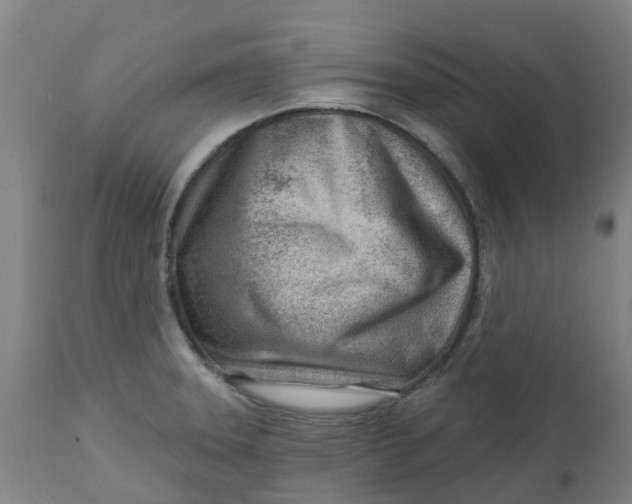 X0000112461331200909071101