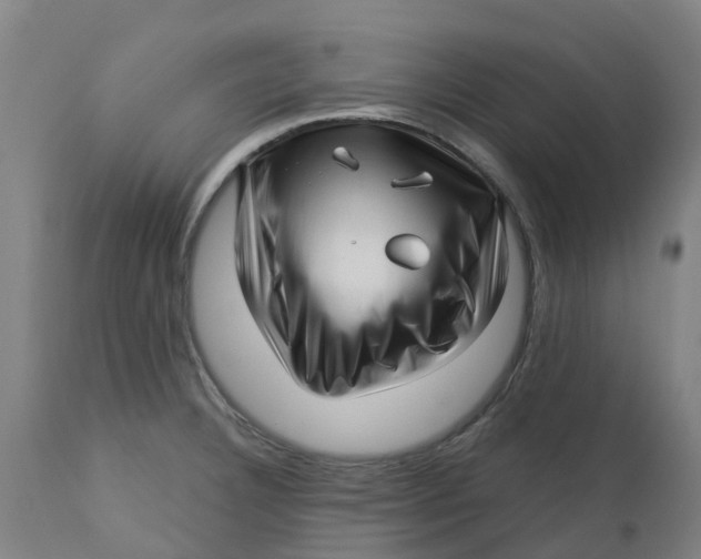 X0000112461332200909071101