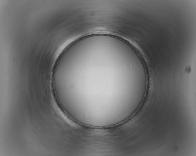 X0000112461333200909071101