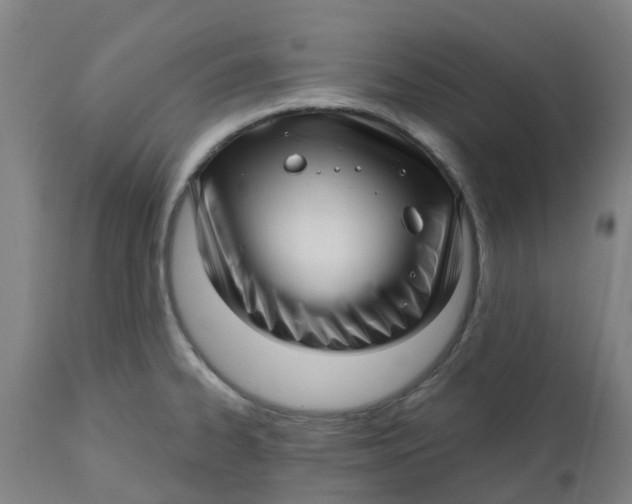 X0000112461334200909071101