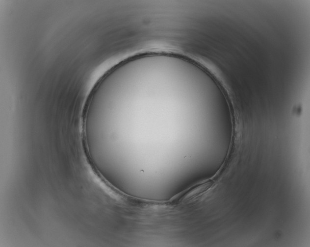 X0000112461335200909071101