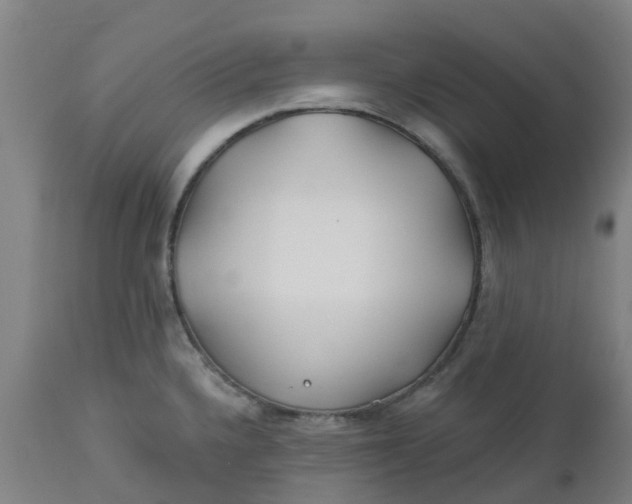 X0000112461336200909071101