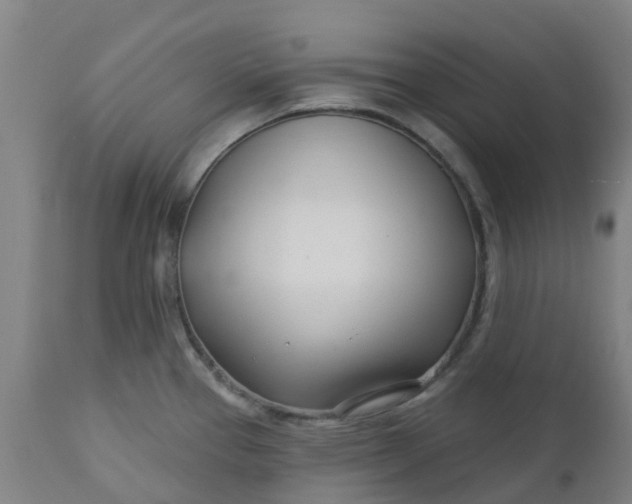 X0000112461337200909071101