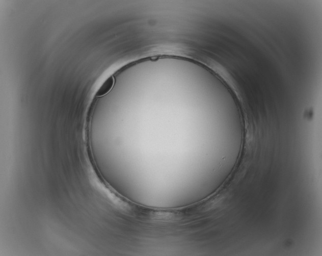 X0000112461339200909071101