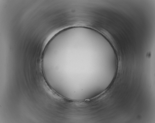 X0000112461340200909071101