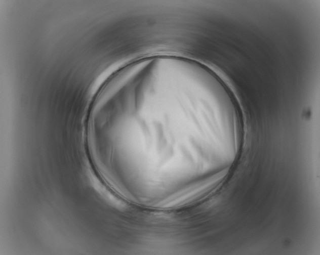 X0000112461341200909071101