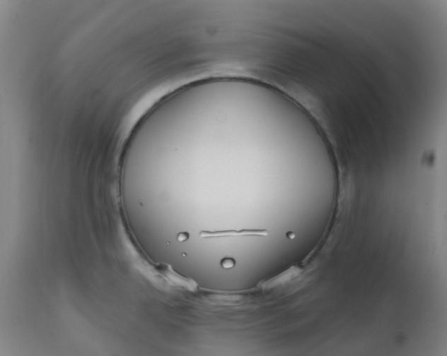 X0000112461342200909071101