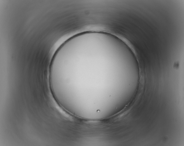 X0000112461343200909071101