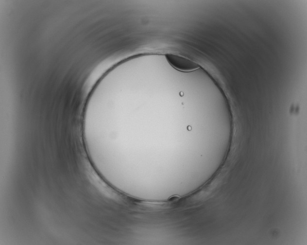 X0000112461344200909071101