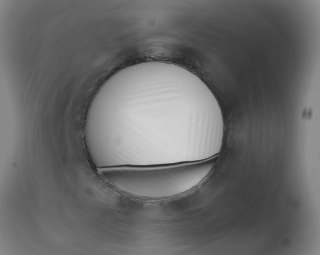 X0000112461345200909071100