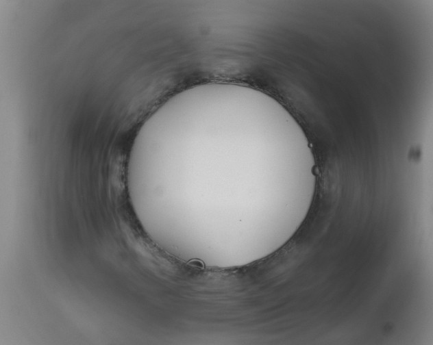 X0000112461346200909071100