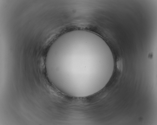 X0000112461347200909071100