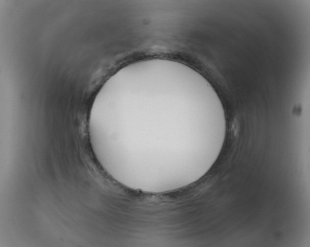 X0000112461348200909071100