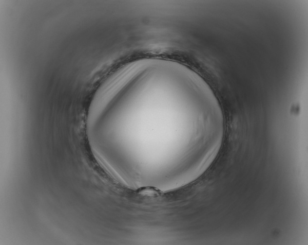 X0000112461349200909071100