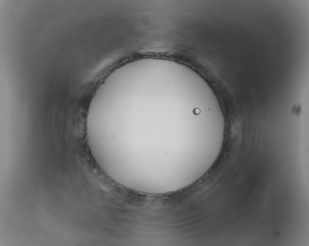 X0000112461350200909071100