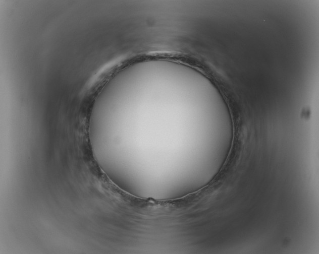 X0000112461351200909071100