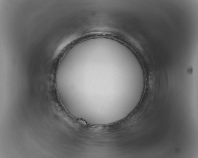 X0000112461352200909071100