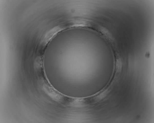 X0000112461353200909071100