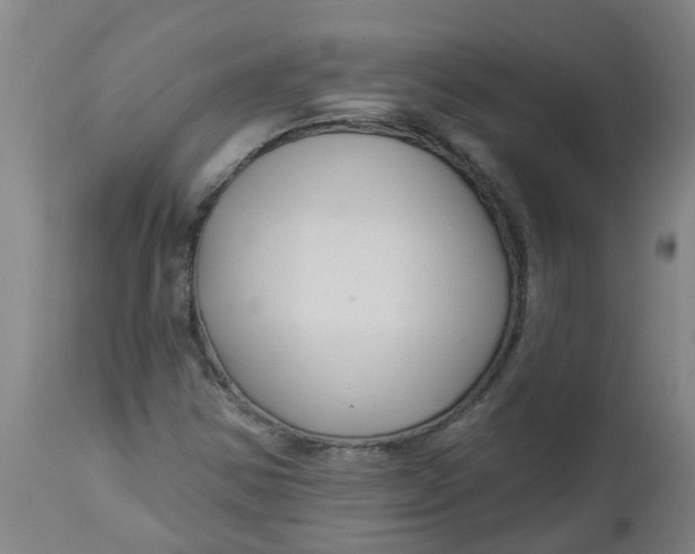 X0000112461354200909071100