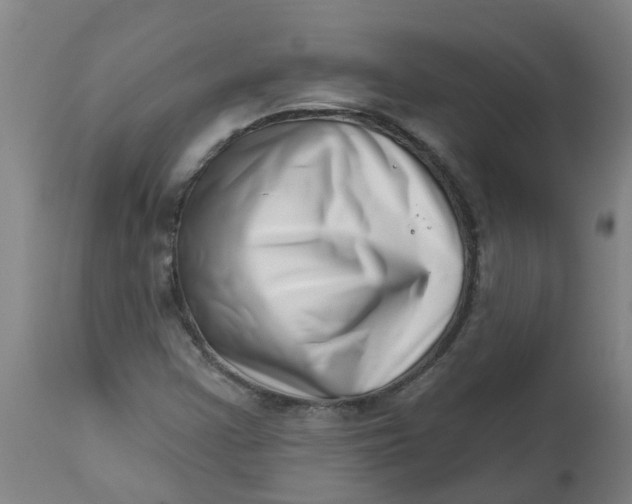 X0000112461355200909071100