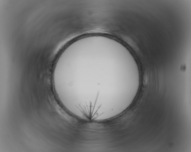 X0000112461356200909071100