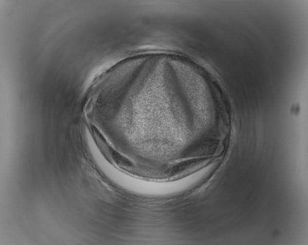 X0000112461357200909071100