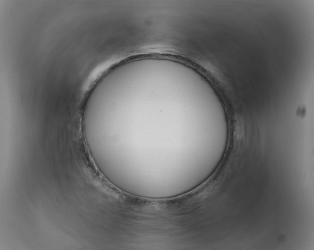 X0000112461358200909071100