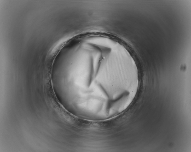 X0000112461359200909071100