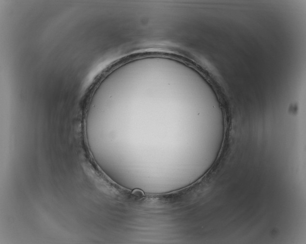 X0000112461360200909071100