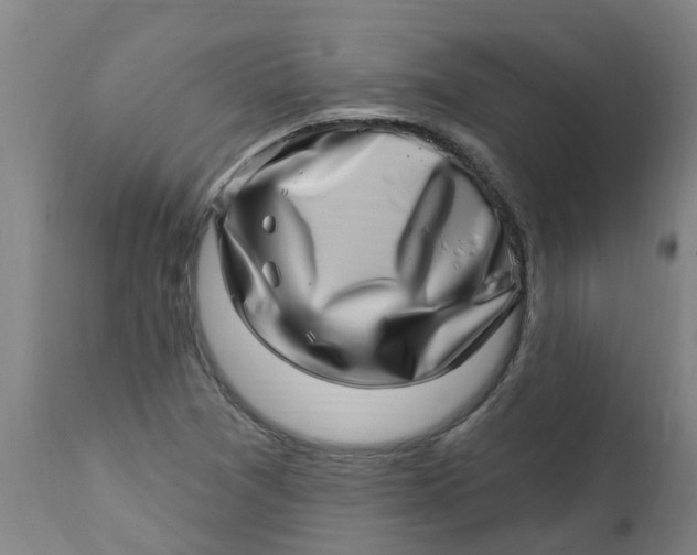 X0000112461361200909071100